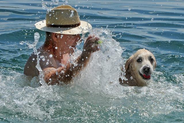 Hundestrand Basel