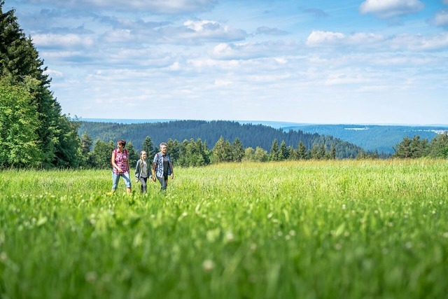 Im Schwarzwald lsst sich gut die Ruhe genieen.  | Foto: Joachim Gerstner (dpa)