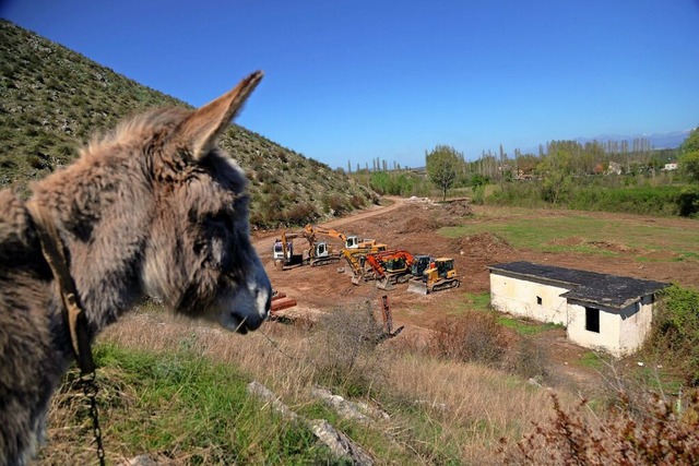 Ein Esel beobachtet die Baustelle in Gjader  | Foto: ADNAN BECI (afp)