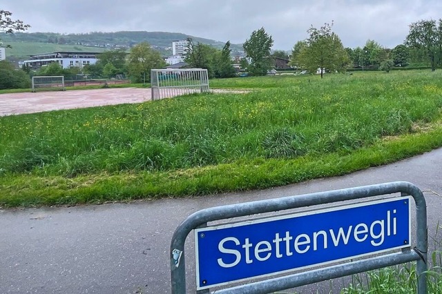 Auf der Wiese im Hintergrund soll die Unterkunft errichtet werden.  | Foto: Jonas Gnther