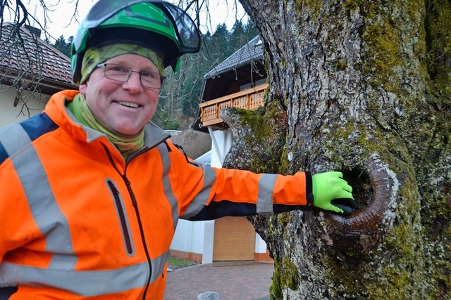 Christian Stockheim ist Experte fr die Baumpflege.  | Foto: Christiane Sahli