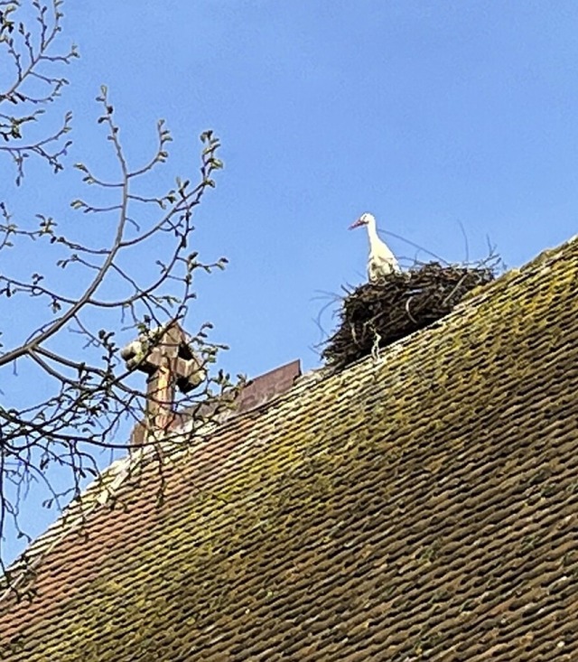 Storch auf der Christuskirche  | Foto: Katrin Fehr