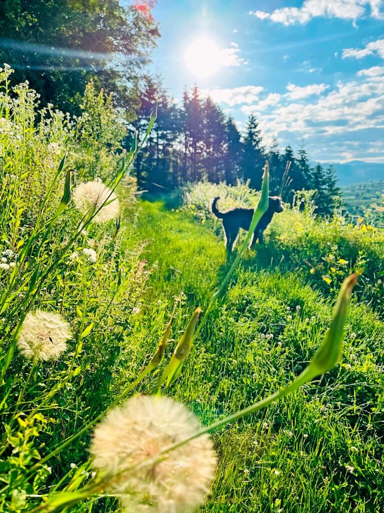 Wunderbare Natur im Markgrflerland, fotografiert von unseren Leserinnen und Lesern