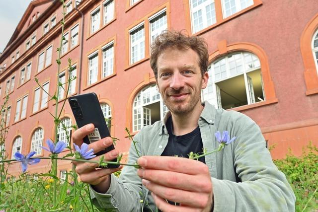 Freiburger Forscher will Millionen Fotos von Hobbybotanikern auswerten