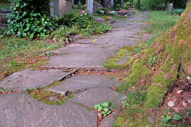 Auf dem Waldfriedhof gibt es zu viele Stolperfallen.  | Foto: Petra Wunderle
