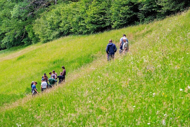 Die Auszubildenden untersuchen die Wie...andwirt Franz Schtzle in Elzach-Yach.  | Foto: Naturpark Sdschwarzwald