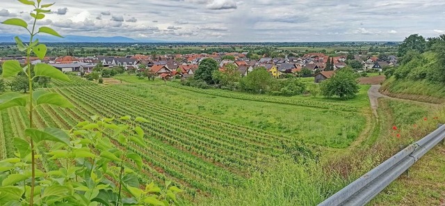 Auf einer Flche im Bereich der Kathar...igschaffhausen soll Bauland entstehen.  | Foto: Martin Wendel