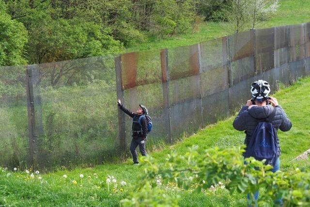 An der ehemaligen deutsch-deutschen Grenze, dem "Todesstreifen", knnen Wanderer und Radler die Natur erkunden