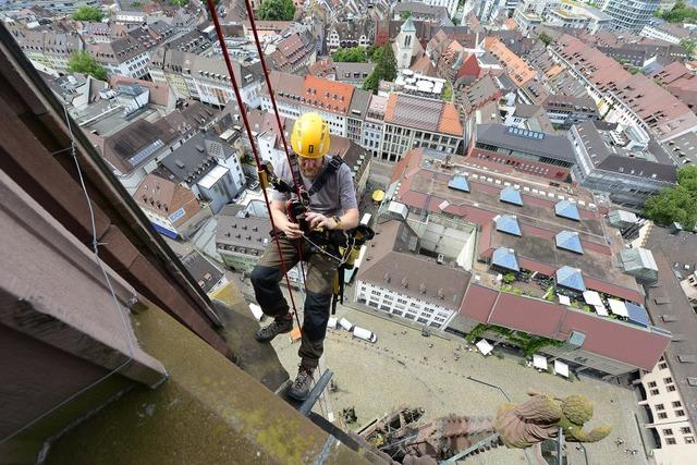 Am Freiburger Mnster sind Kletterer und kletternde Steinmetze in besonderer Mission unterwegs