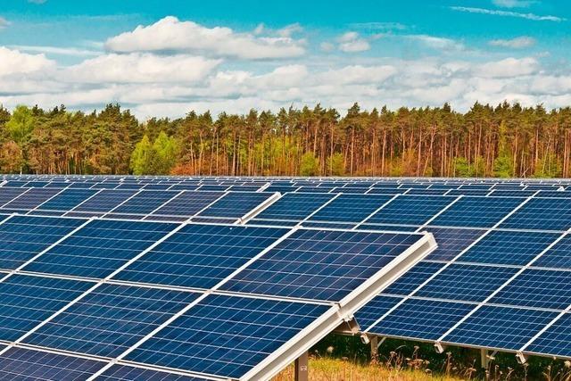 In Schwrstadt darf ein Solarpark gebaut werden