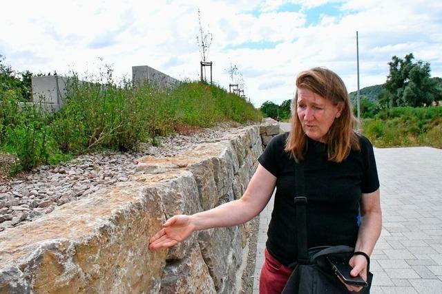 BUND Grenzach-Wyhlen kritisiert Trockenmauer und archologische Grabungen im Neubaugebiet