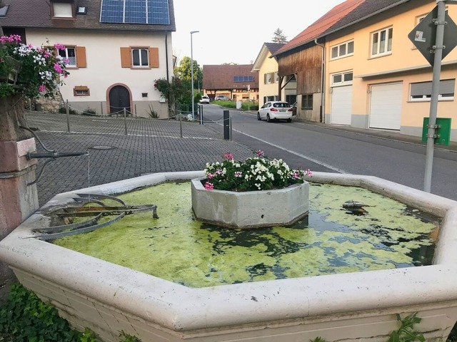 Derzeit bilden sich auf einigen Tannenkircher Brunnen stndig Algen.  | Foto: Jutta Schtz