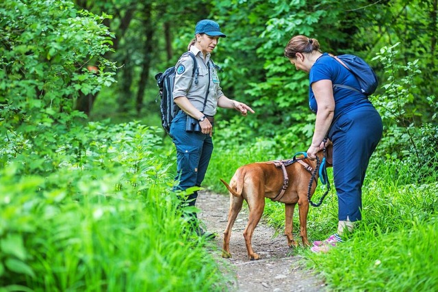 Rangerin Martha Koelbing macht eine Hu...erin auf die Leinenpflicht aufmerksam.  | Foto: Kristoff Meller