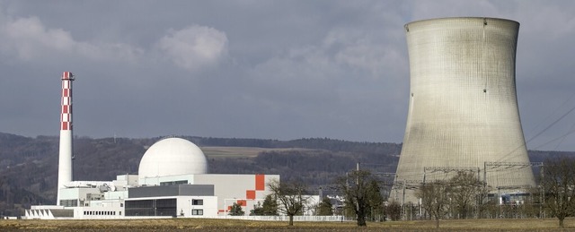 Der BUND Hochrhein fordert eine Umwelt...ichkeitsprfung fr das AKW Leibstadt.  | Foto: Alexandra Wey (dpa)