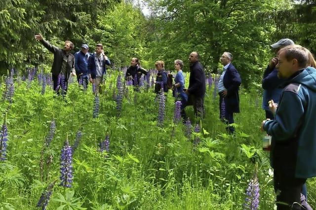 Das Waldweideprojekt in Lenzkirch wird ausgebaut