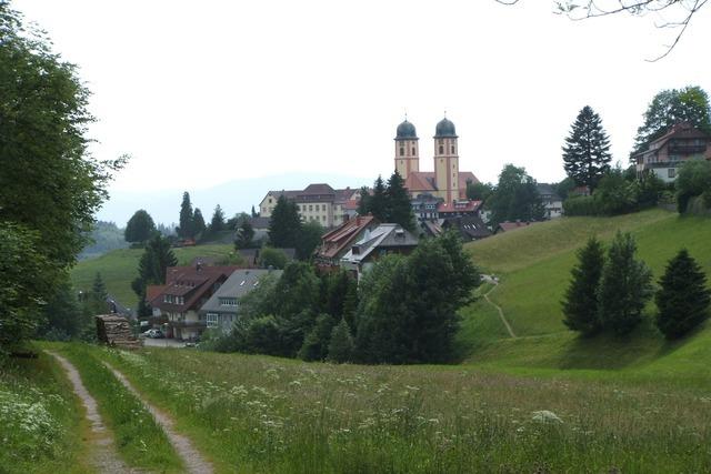 Pfisterwald-Rundweg