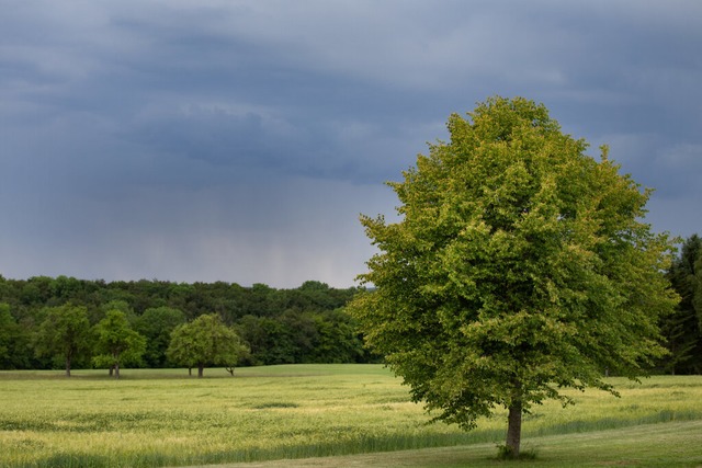 Dunkle Wolken erwarten die Meteorologen (Archivfoto).<Bildquelle></Bildquelle>  | Foto: Tom Weller (dpa)
