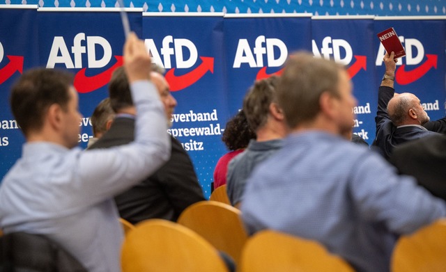 Teilnehmer des Landesparteitags AfD Br...Verdachtsfall eingestuft (Archivbild).  | Foto: Monika Skolimowska/dpa