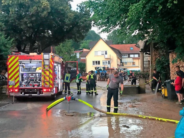 Die Feuerwehr war am Dienstagabend im Groeinsatz in Hertingen.  | Foto: Jutta Schtz