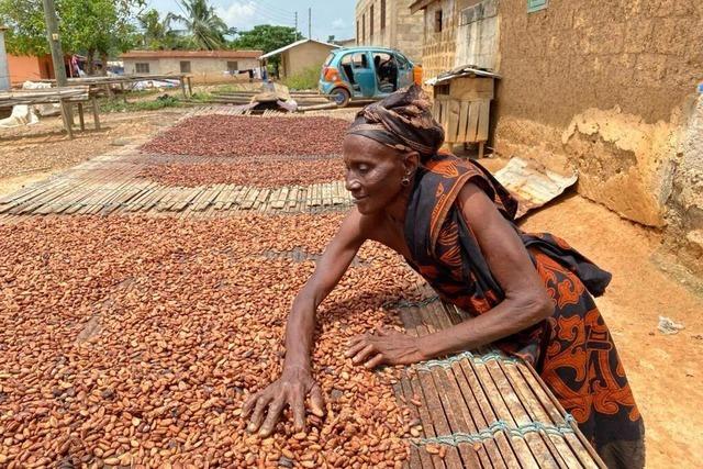 Wie fair ist der Kakaoanbau? Ein Freiburger Verein hat in Ghana eine Doku gedreht