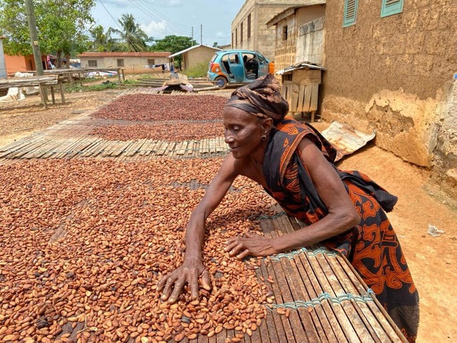 Eine Kakaobuerin in Ghana beim Wenden der Kakaobohnen zum Trocknen  | Foto: Emeka Udemba