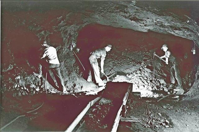 Aus dem Schnberg bei Ebringen holten Bergleute einst Eisenerz
