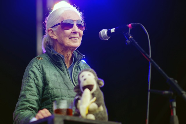 Jane Goodall auf der Greenpeace-B&uuml...stonbury Festival in&nbsp;Worthy Farm.  | Foto: Ben Birchall/PA Wire/dpa
