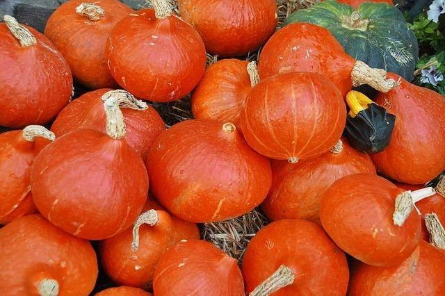 Ramstalhof (Kndringen)