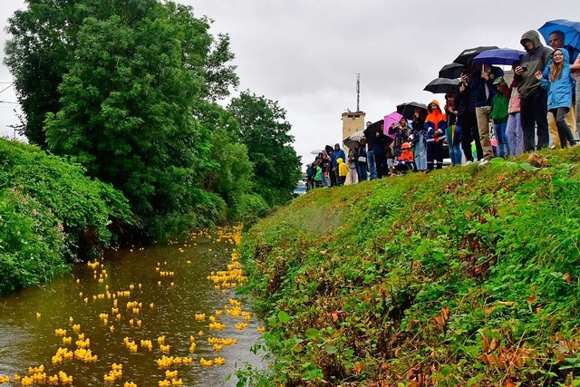 Regenwetter beim 15. Entenrennen des L...rwehr tat der Stimmung keinen Abbruch.  | Foto: Dieter Erggelet
