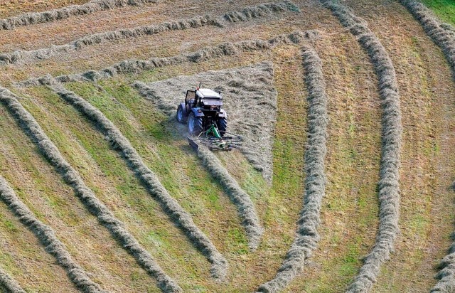 Ein Landwirt beim Heuwenden auf einer ... derzeit die Heuernte nicht einfahren.  | Foto: A3528 Armin Weigel