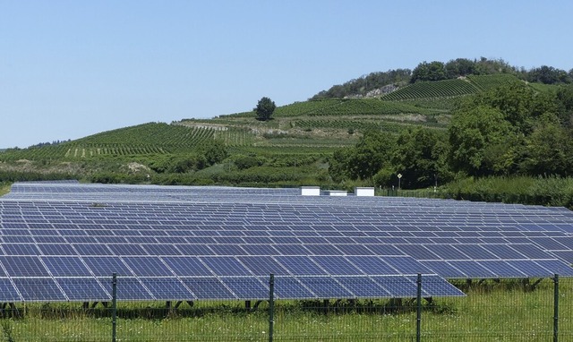 Der Solarpark zwischen Achkarren und N...ispiel fr eine Freiflchen-PV-Anlage.  | Foto: Dirk Sattelberger