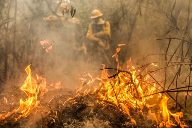 Feuerwehreinheiten bek&auml;mpfen die schlimmen Waldbr&auml;nde im Pantanal.  | Foto: Marcelo Camargo/Agencia Brazil/dpa