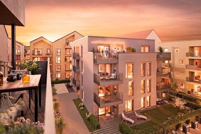 In Weil-Friedlingen sollen 230 Wohnungen in 17 Gebuden auf 9500 Quadratmetern entstehen