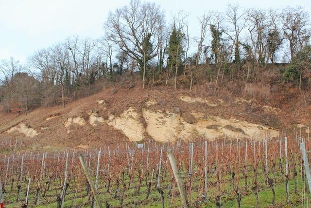 Gemeinderat Fischingen steht Windrad auf dem Lufelberg skeptisch gegenber