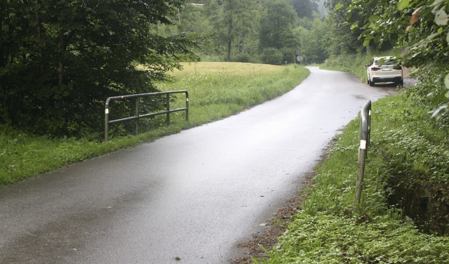 Fr die berquerung am Hauweg soll temporr eine Dolen-Brcke errichtet werden.   | Foto: Christoph Schennen