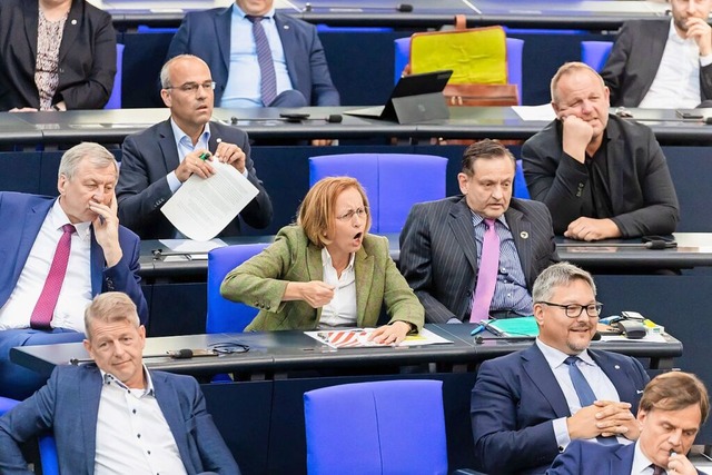 Eine, die sich im Parlament gern mal d...Beatrix von Storch (Mitte) von der AfD  | Foto: Christoph Soeder (dpa)