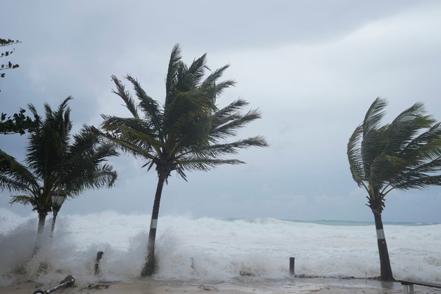 Hurrikan "Beryl" biegt die Palmen.  | Foto: Ricardo Mazalan/AP/dpa