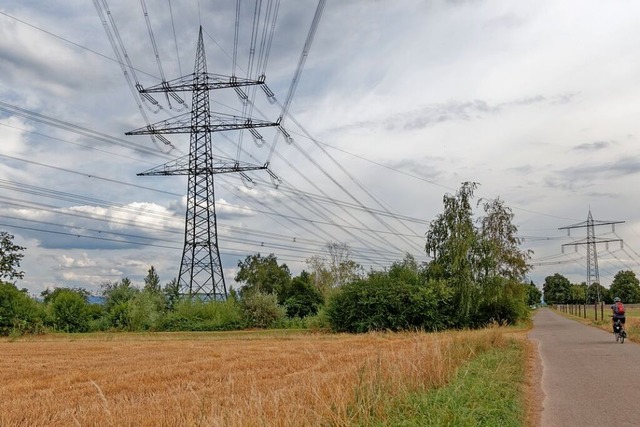 stlich von Bahlingen kreuzen sich der...noch die 380- und 220-kV-Stromtrassen.  | Foto: Martin Wendel