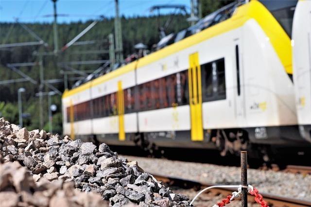 Dreiseenbahn zwischen Titisee und Seebrugg fllt bis Ende Juli aus