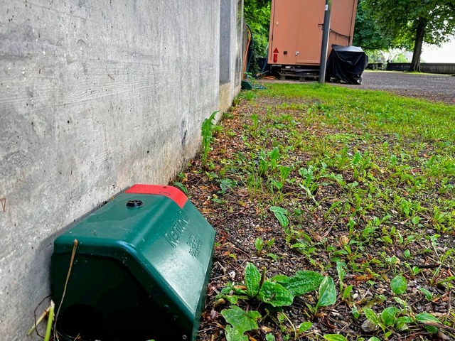 Die Plastik-Boxen enthalten Giftkder....romenade weiterhin im Einsatz bleiben.  | Foto: Valentin Zumsteg