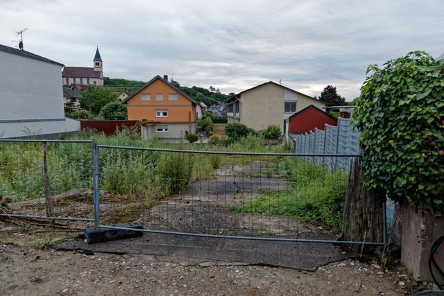 Vorerst kein Wohnungsbau: Grundschule Kiechlinsbergen soll Chance auf Erweiterung haben