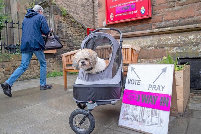 Joey, Hunderasse Shih Tzu, wartet vor ...er St. James&#39; Church in Edinburgh.  | Foto: Jane Barlow (dpa)