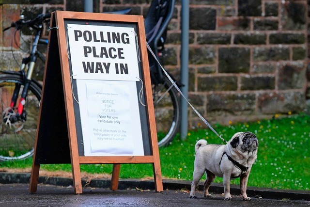 Ein Hund ist an einem Wahl-Aufsteller ... der Parlamentswahlen 2024 angebunden.  | Foto: Andrew Milligan (dpa)
