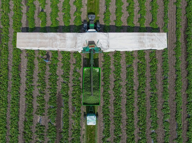 In der Erntezeit f&auml;hrt er &uuml;ber die Felder: Der Gurkenflieger.  | Foto: Patrick Pleul/dpa