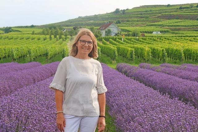 Lavendel-Felder im Kaiserstuhl: Eine Vogtsburgerin hat den Schritt gewagt
