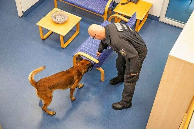 Im leerstehenden Gottenheimer Kindergarten sind Polizeihunde im Einsatz