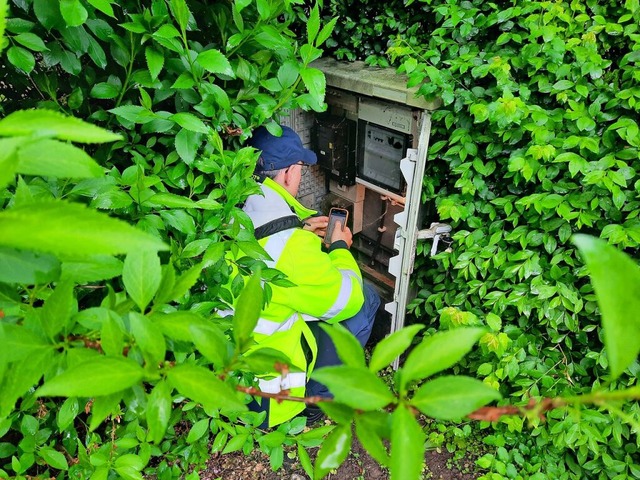 Mitten im grnen Dschungel einer Parka...en Stromzhler einer Brunnenanlage ab.  | Foto: Hannes Lauber