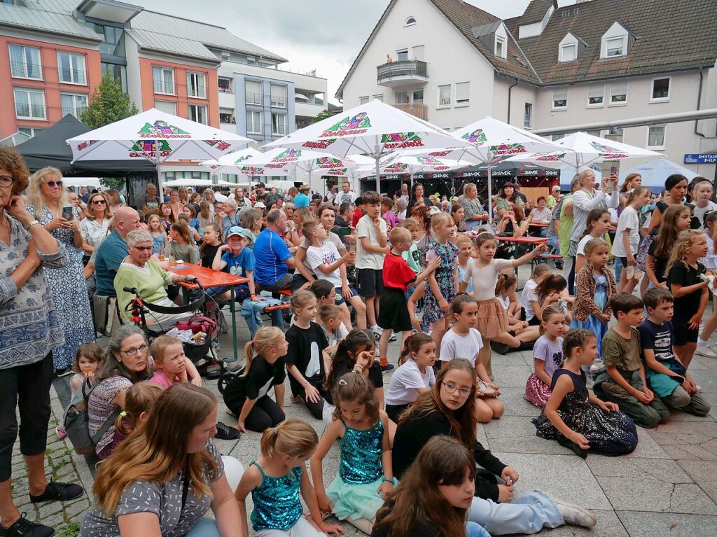 Impressionen vom Sommer in Wehr 2024.