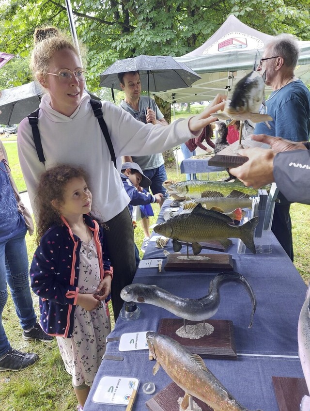 Der Landesfischerverband war in diesem...mattenfest in Bad Sckingen vertreten.  | Foto: Aloisia Zell