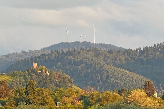 Fast die Hlfte aller Windkraftanlagen...sbezirk Freiburg stehen in der Ortenau  | Foto: Helmut Seller